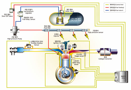 LPDI System